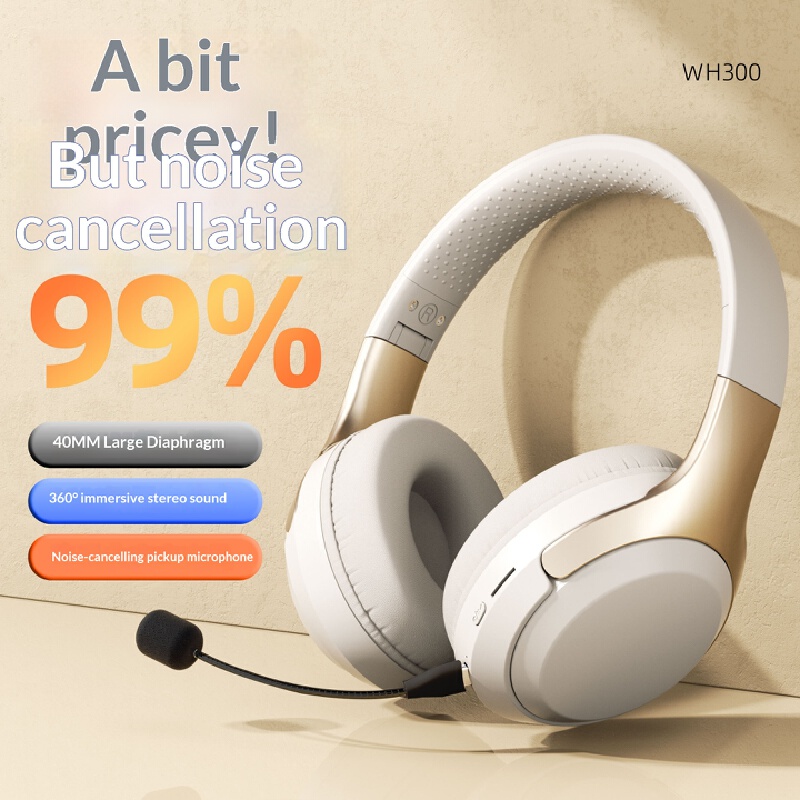 Over Ear Wireless Bluetooth He - Laptop Accessories Officeworks ulasan dan harga